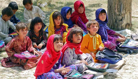 售后保障的轰炸网页版